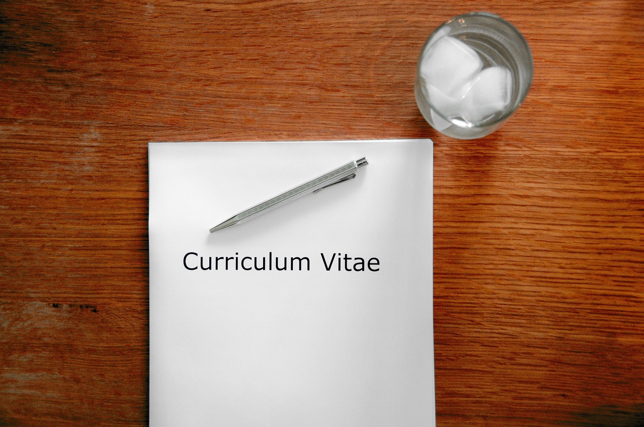 Application, curriculum vitae, interview — The iPhone Applications and also the iPhone Relation Designed for One Another